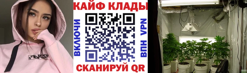 Продажа наркотиков Донецк ссылка на мегу как войти Галлюциногенные грибы Конопля Кокаин Гашиш A-PVP
