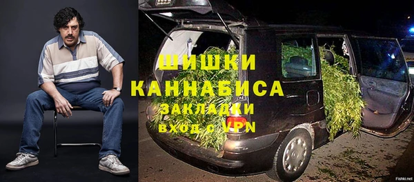 PSILOCYBIN Верхний Тагил