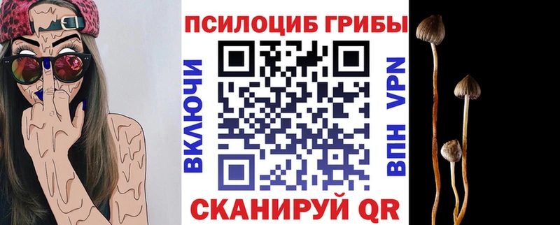 Псилоцибиновые грибы Psilocybine cubensis Донецк